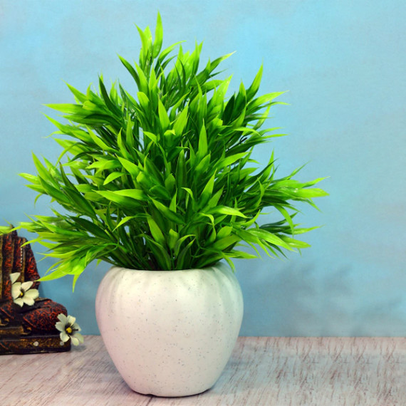 https://weavestyle.in/products/green-white-artificial-bamboo-leaves-in-apple-pot