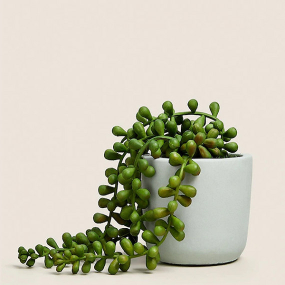 https://weavestyle.in/products/green-artificial-plant-with-pot